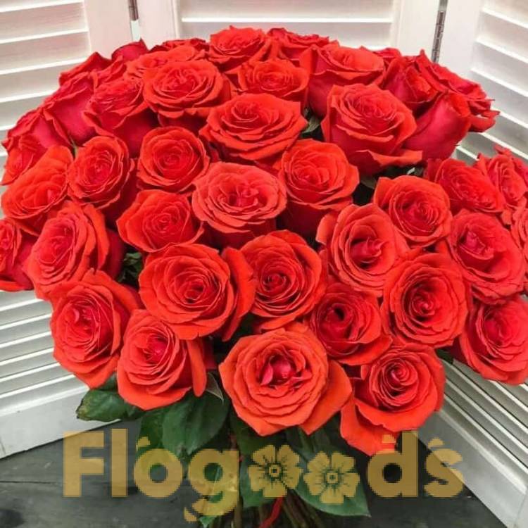 51 красная роза за 19 570 руб.